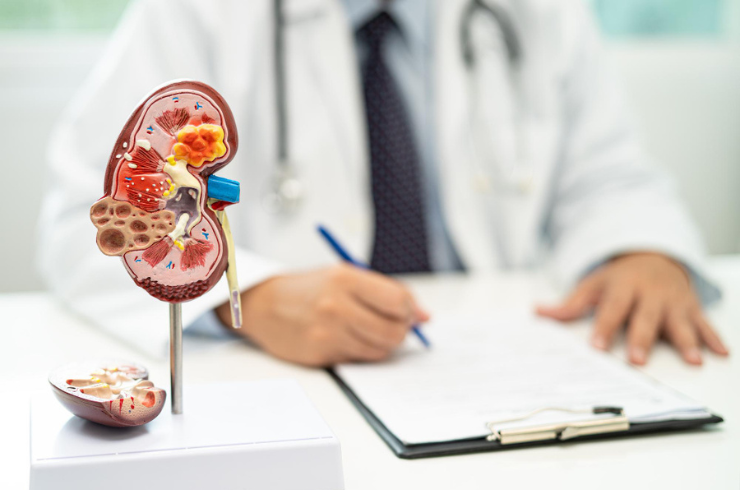Nephrology